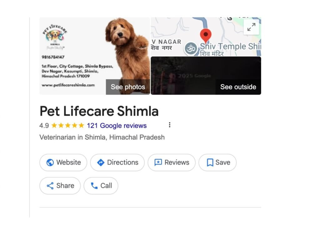 Google Business Profile dashboard with analytics data