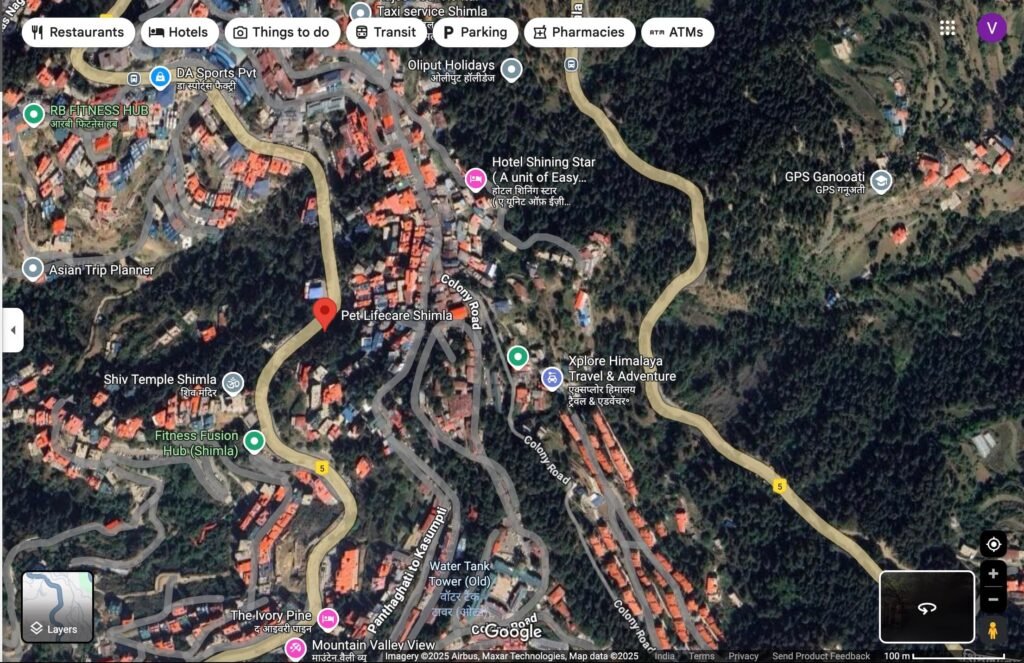 Google Maps location pin pointing to business address